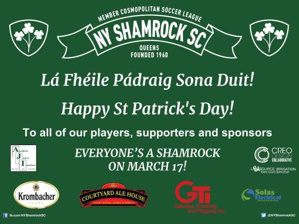 shamrocks st patrick's day