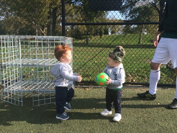 010-conor-mc-carry-oscar-wrafter